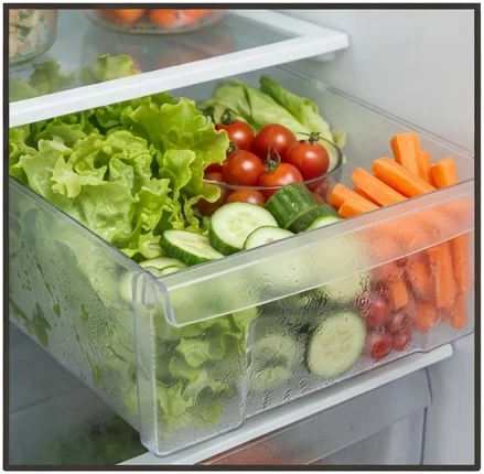 Guia prático de conservação de alimentos frescos e preparados